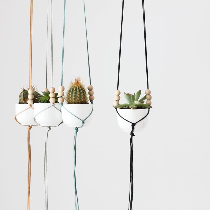 DIY – Les plantes suspendues – MAMIE BOUDE